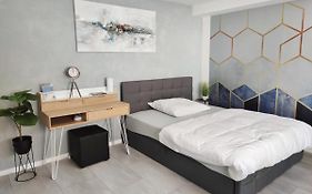 Business Style Apartment Ludwigshafen *Free Parking&WiFi*